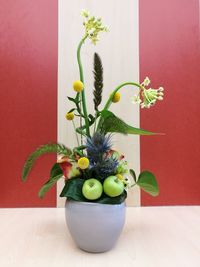 Close-up of potted plant on table against wall