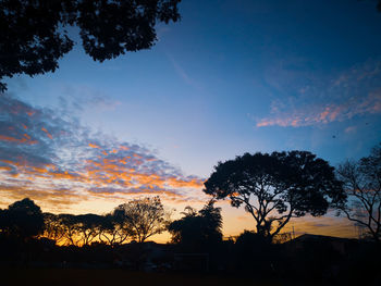 Low angle view of silhouette trees against sky during sunset