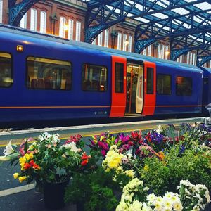 Multi colored flowers on train in city