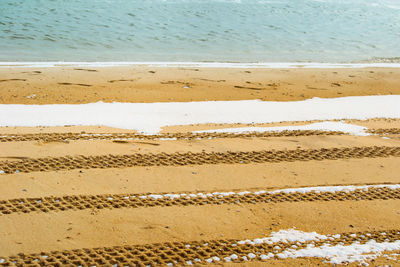 Scenic view of beach