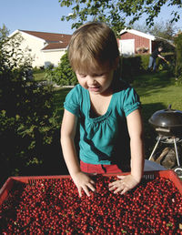 Cute girl touching berries in crate on field