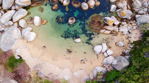 High angle view of seashells on pebbles at beach