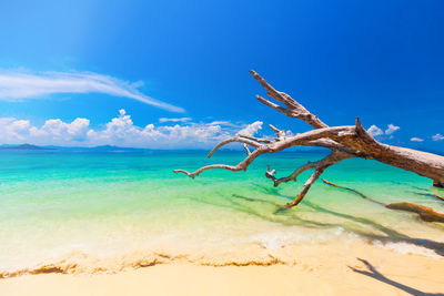 Scenic view of beach against blue sky