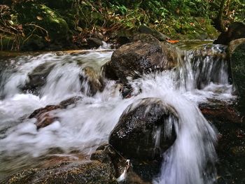 Scenic view of waterfall in forest