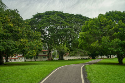 Road amidst trees on field against sky