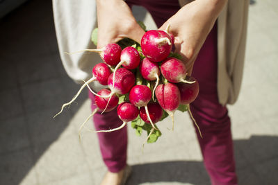 Midsection of person holding radish