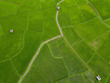 High angle view of soccer field