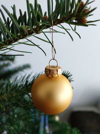 Close-up of christmas decoration hanging on tree