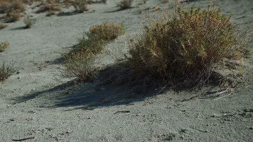 High angle view of sand on beach