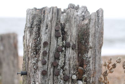 Close-up of wood against sky