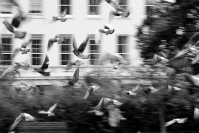 Blurred motion of city street
