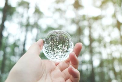 Close-up of hand holding crystal ball