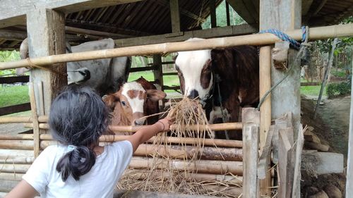 Woman with arms outstretched in zoo