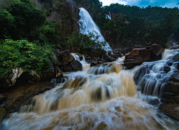 scenics - nature