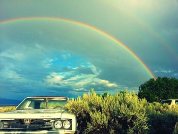 Rainbow over trees against sky