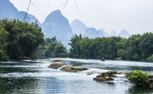 Scenic view of river amidst trees against clear sky