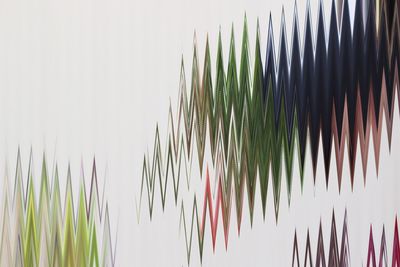 Close-up of palm tree against clear sky