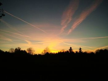 Silhouette of trees at sunset