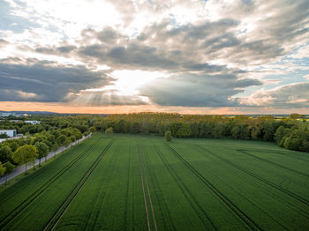 Scenic view of agricultural field against sky during sunset