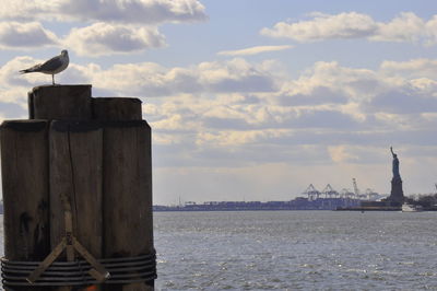 Birds perching on sea against sky