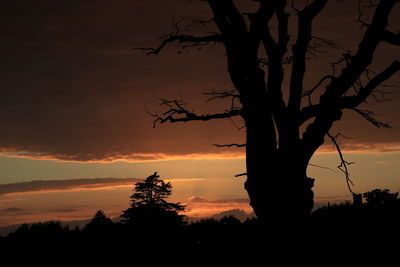 Silhouette trees against sky during sunset