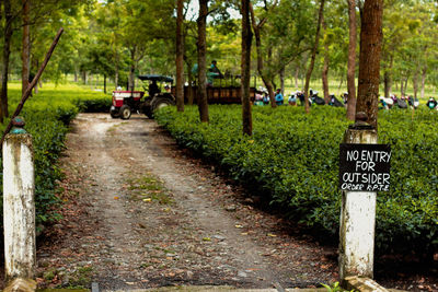 Information sign on road by trees