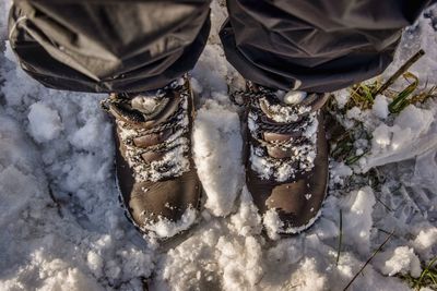Low section of shoe on snow