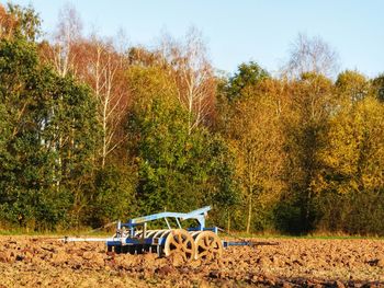 Horse cart on field against trees in forest