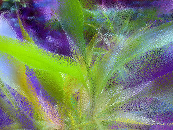 Full frame shot of multi colored leaf against blue background