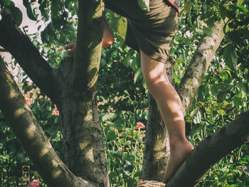 Low section of person against plants