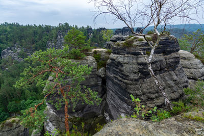 Rock formation amidst trees against sky