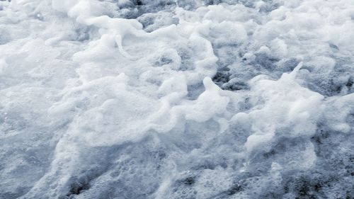 Snow covered trees