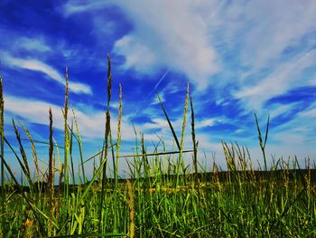 Scenic view of field against cloudy sky