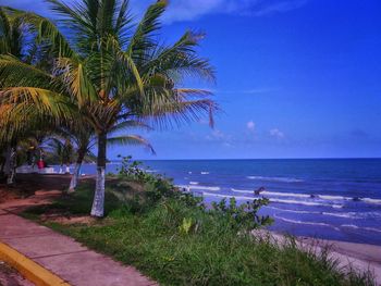 Scenic view of sea against clear blue sky