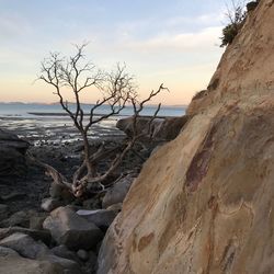 Close-up of rocks on beach against sky