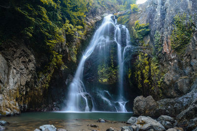 Scenic view of waterfall in forest