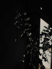 High angle view of illuminated chandelier