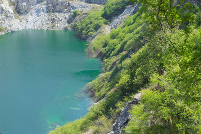 High angle view of trees by sea