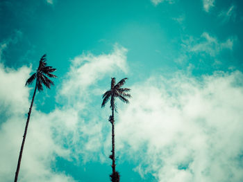 Low angle view of silhouette crane against sky
