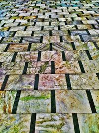 Full frame shot of plants growing in garden