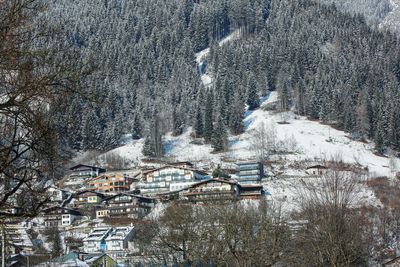 High angle view of bare trees and buildings in city