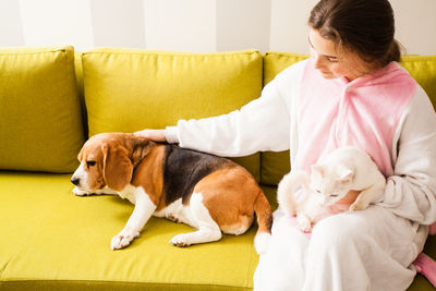 Dog sitting on sofa at home