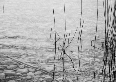 Scenic view of frozen lake