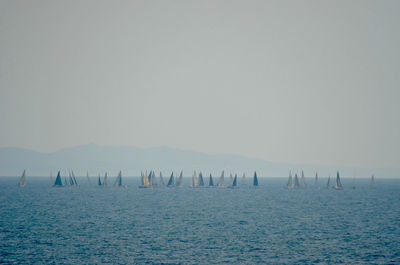 Sailboats in sea against clear sky