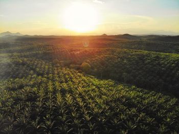 Scenic view of field against sky during sunset