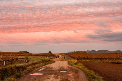 Dirt road amidst field against sky during sunset