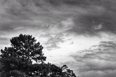 Low angle view of trees against cloudy sky