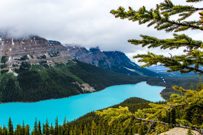 Scenic view of trees and mountains against sky