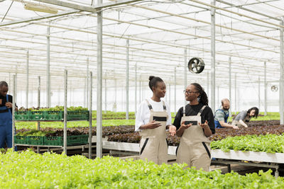 Rear view of young man working in greenhouse