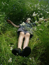 High angle view of boy lying by plants